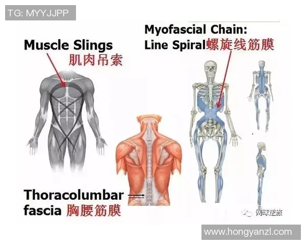 西安网球队技术深度解析与训练方法探讨 西安网球队技术深度解析与训练方法探讨